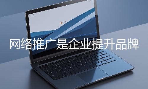 網(wǎng)絡(luò)推廣是企業(yè)提升品牌影響力、拓展市場(chǎng)的重要手段